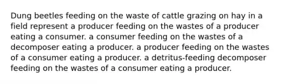 Dung beetles feeding on the waste of cattle grazing on hay in a field represent a producer feeding on the wastes of a producer eating a consumer. a consumer feeding on the wastes of a decomposer eating a producer. a producer feeding on the wastes of a consumer eating a producer. a detritus-feeding decomposer feeding on the wastes of a consumer eating a producer.