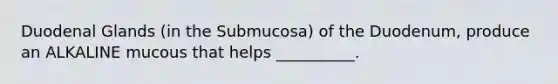 Duodenal Glands (in the Submucosa) of the Duodenum, produce an ALKALINE mucous that helps __________.