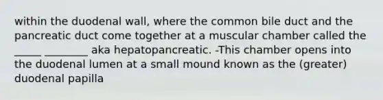 within the duodenal wall, where the common bile duct and the pancreatic duct come together at a muscular chamber called the _____ ________ aka hepatopancreatic. -This chamber opens into the duodenal lumen at a small mound known as the (greater) duodenal papilla