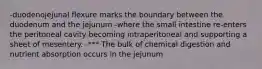 -duodenojejunal flexure marks the boundary between the duodenum and the jejunum -where the small intestine re-enters the peritoneal cavity becoming intraperitoneal and supporting a sheet of mesentery. -*** The bulk of chemical digestion and nutrient absorption occurs in the jejunum