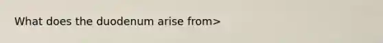 What does the duodenum arise from>