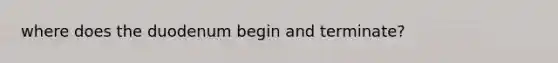 where does the duodenum begin and terminate?
