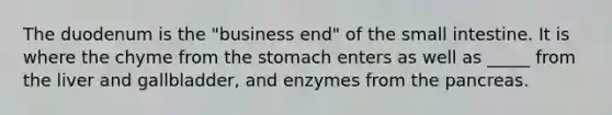 The duodenum is the "business end" of the small intestine. It is where the chyme from the stomach enters as well as _____ from the liver and gallbladder, and enzymes from the pancreas.