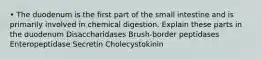 • The duodenum is the first part of the small intestine and is primarily involved in chemical digestion. Explain these parts in the duodenum Disaccharidases Brush-border peptidases Enteropeptidase Secretin Cholecystokinin