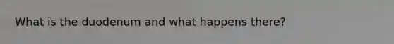 What is the duodenum and what happens there?