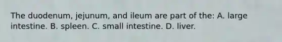 The duodenum, jejunum, and ileum are part of the: A. large intestine. B. spleen. C. small intestine. D. liver.