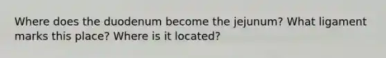 Where does the duodenum become the jejunum? What ligament marks this place? Where is it located?