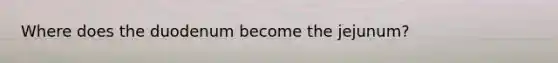Where does the duodenum become the jejunum?