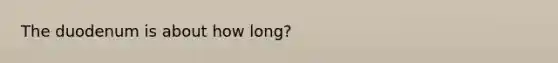 The duodenum is about how long?