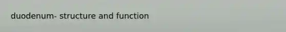 duodenum- structure and function