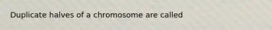 Duplicate halves of a chromosome are called