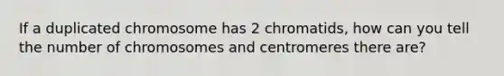 If a duplicated chromosome has 2 chromatids, how can you tell the number of chromosomes and centromeres there are?