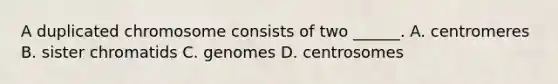 A duplicated chromosome consists of two ______. A. centromeres B. sister chromatids C. genomes D. centrosomes