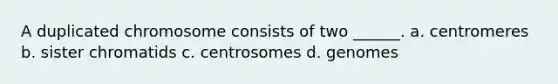 A duplicated chromosome consists of two ______. a. centromeres b. sister chromatids c. centrosomes d. genomes