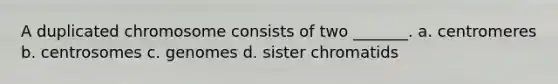 A duplicated chromosome consists of two _______. a. centromeres b. centrosomes c. genomes d. sister chromatids