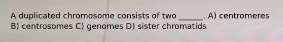 A duplicated chromosome consists of two ______. A) centromeres B) centrosomes C) genomes D) sister chromatids