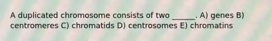 A duplicated chromosome consists of two ______. A) genes B) centromeres C) chromatids D) centrosomes E) chromatins