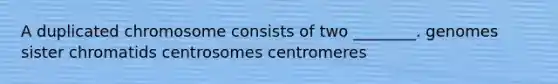 A duplicated chromosome consists of two ________. genomes sister chromatids centrosomes centromeres