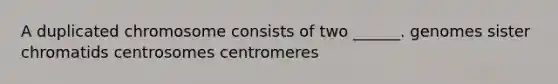 A duplicated chromosome consists of two ______. genomes sister chromatids centrosomes centromeres