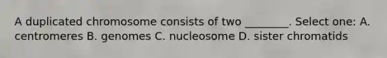 A duplicated chromosome consists of two ________. Select one: A. centromeres B. genomes C. nucleosome D. sister chromatids