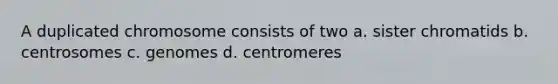 A duplicated chromosome consists of two a. sister chromatids b. centrosomes c. genomes d. centromeres