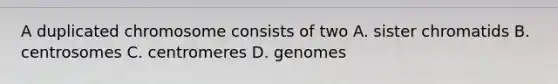 A duplicated chromosome consists of two A. sister chromatids B. centrosomes C. centromeres D. genomes