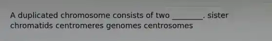 A duplicated chromosome consists of two ________. sister chromatids centromeres genomes centrosomes