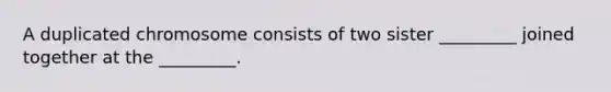 A duplicated chromosome consists of two sister _________ joined together at the _________.