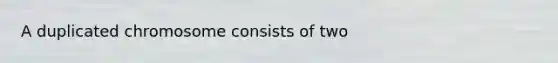 A duplicated chromosome consists of two