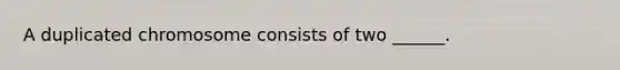 A duplicated chromosome consists of two ______.