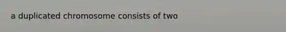 a duplicated chromosome consists of two