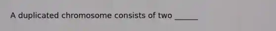 A duplicated chromosome consists of two ______