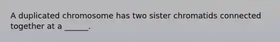 A duplicated chromosome has two sister chromatids connected together at a ______.