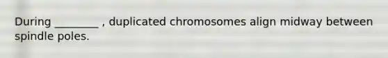 During ________ , duplicated chromosomes align midway between spindle poles.