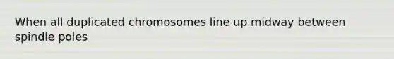 When all duplicated chromosomes line up midway between spindle poles