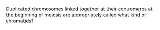 Duplicated chromosomes linked together at their centromeres at the beginning of meiosis are appropriately called what kind of chromatids?​