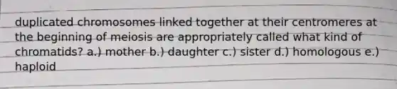 duplicated chromosomes linked together at their centromeres at the beginning of meiosis are appropriately called what kind of chromatids? a.) mother b.) daughter c.) sister d.) homologous e.) haploid