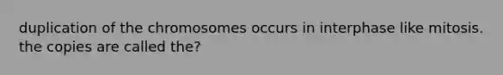 duplication of the chromosomes occurs in interphase like mitosis. the copies are called the?