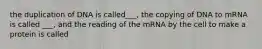 the duplication of DNA is called___, the copying of DNA to mRNA is called ___, and the reading of the mRNA by the cell to make a protein is called