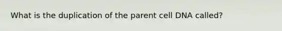 What is the duplication of the parent cell DNA called?