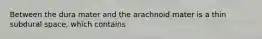 Between the dura mater and the arachnoid mater is a thin subdural space, which contains