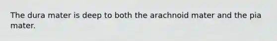 The dura mater is deep to both the arachnoid mater and the pia mater.