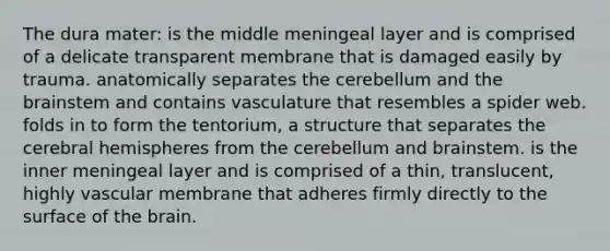 The dura mater: is the middle meningeal layer and is comprised of a delicate transparent membrane that is damaged easily by trauma. anatomically separates the cerebellum and the brainstem and contains vasculature that resembles a spider web. folds in to form the tentorium, a structure that separates the cerebral hemispheres from the cerebellum and brainstem. is the inner meningeal layer and is comprised of a thin, translucent, highly vascular membrane that adheres firmly directly to the surface of the brain.