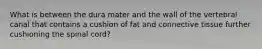 What is between the dura mater and the wall of the vertebral canal that contains a cushion of fat and connective tissue further cushioning the spinal cord?