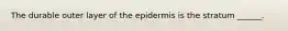 The durable outer layer of the epidermis is the stratum ______.