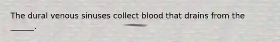 The dural venous sinuses collect blood that drains from the ______.