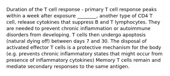 Duration of the T cell response - primary T cell response peaks within a week after exposure ________, another type of CD4 T cell, release cytokines that suppress B and T lymphocytes. They are needed to prevent chronic inflammation or autoimmune disorders from developing. T cells then undergo apoptosis (natural dying off) between days 7 and 30. The disposal of activated effector T cells is a protective mechanism for the body (e.g. prevents chronic inflammatory states that might occur from presence of inflammatory cytokines) Memory T cells remain and mediate secondary responses to the same antigen.