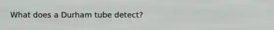 What does a Durham tube detect?