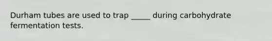 Durham tubes are used to trap _____ during carbohydrate fermentation tests.