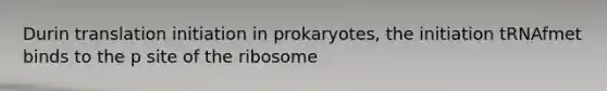 Durin translation initiation in prokaryotes, the initiation tRNAfmet binds to the p site of the ribosome